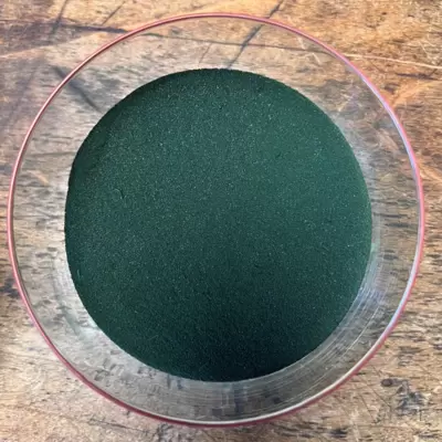 / Spiruline - 100g de poudre