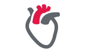 sistema_caridaco-300.png  -   CARDIOLOGIE  